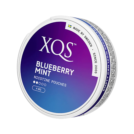 XQS Blueberry Mint 4mg
