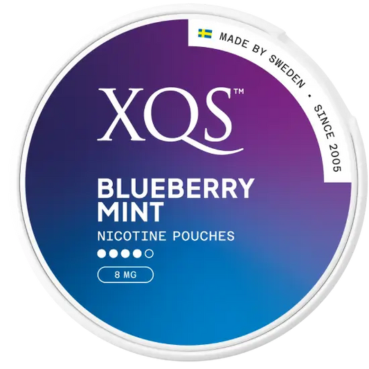XQS Blueberry Mint 8mg/pouch
